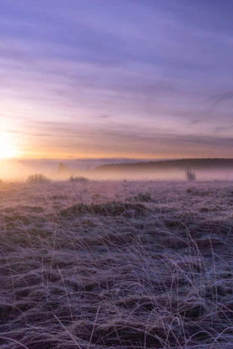 Brume sur les Fagnes