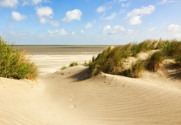 Marée basse à Knokke