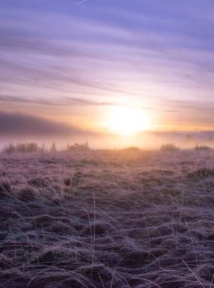 Brume sur les Fagnes