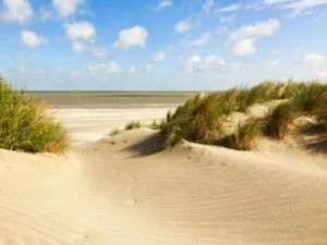 Photo de dune et de plage sur un téléphone, avant impression